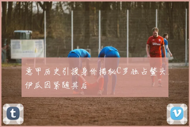 意甲历史引援身价揭秘C罗独占鳌头伊瓜因紧随其后
