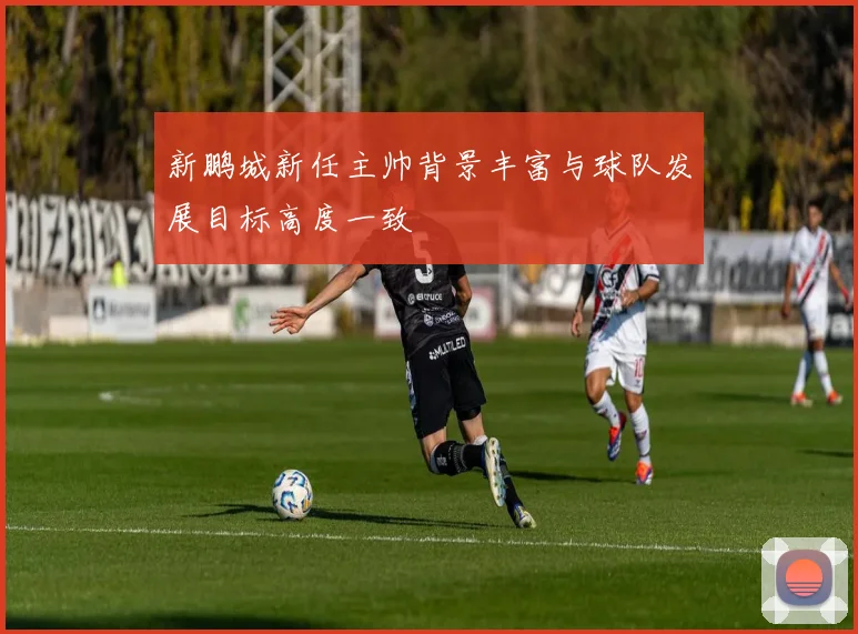新鹏城新任主帅背景丰富与球队发展目标高度一致